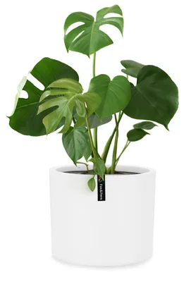 Produktbild von Fox & Fern Blumentopf, Übertopf Groß, UV- und Frostbeständige Blumentöpfe, Blumentopf für Innen und Außen, Übertöpfe für Zimmerpflanzen, Übertopf mit Stopfen, Faserstein Pflanzentopf, Einzeltopf