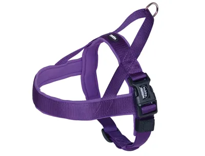 Produktbild von Nobby Norweger Geschirr Classic Preno lila/lila, Bauchumfang: 38-50 cm