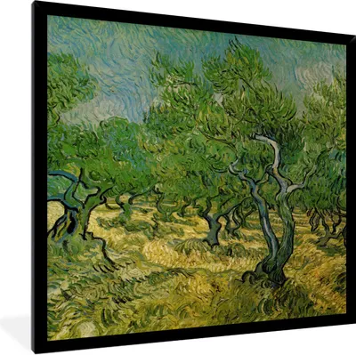 Produktbild von MuchoWow® Gerahmtes Poster Olivenhain - Vincent van Gogh 40x40 cm - Poster mit Schwarzem Bilderrahmen Wandposter Rahmen Foto Bilder - Mit Rahmen - Wanddekoration Schlafzimmer