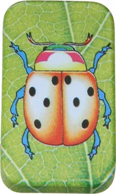 Produktbild von Knackinsekt Katrin, Clicker, Knackkäfer aus Blech, 4,5 x 2,5 cm