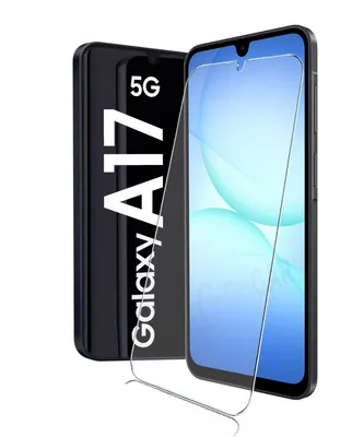 A product shot of a smartphone screen protector and the phone it is designed for.