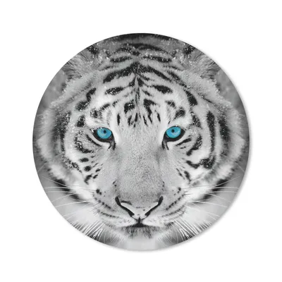 Produktbild von MuchoWow® Mauspad Mousepad Tiger - Winter - Tiere 20x20 cm - Mousepads - Maus Mat - Pad - Mausunterlage - Schreibtischmatte