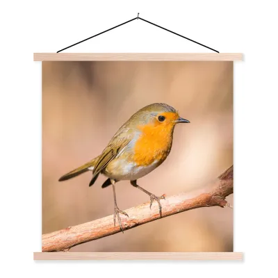 Produktbild von MuchoWow® Textilposter Vogel - Zweig - Rotkehlchen 40x40 cm mit holzfarbenen Rahmen - Posterleiste