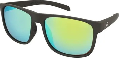 Zdjęcie produktu dla Okulary przeciwsłoneczne Alpina Nacan III Coffee Grey Matt