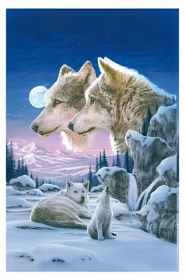 Image de Puzzle 3D 500 pièces : couple de loups