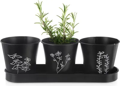 Produktbild von ORION Kräutertopf schwarz Ø 11 cm + Untersetzer aus Metall 310628
