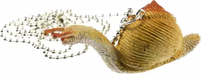 Produktbild von Schnecke Kette Halskette Miniblings 80cm Schneckenkette Schneckenhaus Gummi