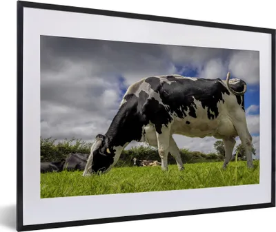 Produktbild von MuchoWow® MuchoWow® Gerahmtes Poster Kuh - Gras - Schwanz - Tiere 60x40 cm - Poster mit zchwarzem Bilderrahmen - Schlafzimmer - Plakat in Rahmen - Drucken