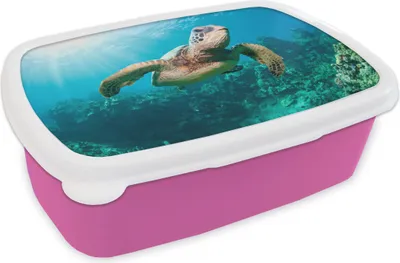 Obrázek produktu pro KitchenYeah® Lunchbox Box na svačinu 17x11 cm Plavající želva s fototiskem Dětský svačinový box - svačinový balíček - box na chléb - sendvičový box