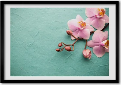 Produktbild von Bild - Bilderrahmen - 100 cm x 70 cm - MDF - Rahmen - Foto - Wandkunst Orchidee