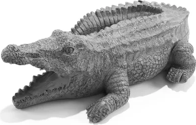 Produktbild von esotec Wasserspeier Krokodil Klaus Einzelfigur mit Schlauch Polyresin 100751