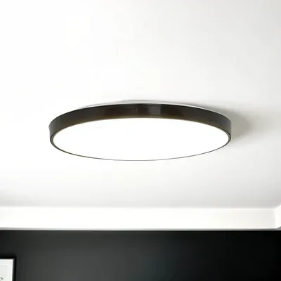 Obrázek produktu pro LED stropní svítidlo IP44 černá bílá neutrální bílé světlo 4000 K 890 lm Stropní svítidlo
