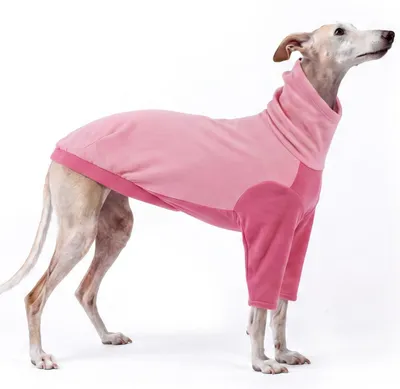 Immagine prodotto di Maglione per cani, inverno, in pile, colore rosa, taglia S