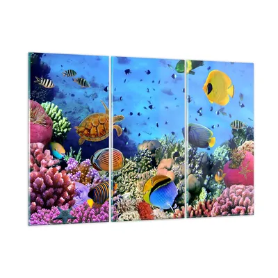Produktbild von Bilder auf glas - Korallenriff - 105x70cm - Glasbilder - Wandbilder - Bilder - Kunstdruck - zum Aufhängen bereit - Wanddekoration aus Glas - Glas Bilder - Wandbild auf Glas - 3 Teile - GCE105x70-3569