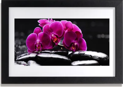Produktbild von Bild 30x20 MDF-Rahmen Wandkunst Zen Steine ​​Orchid Spa