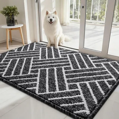 Image de Paillasson anti-saleté, 80x120 cm, noir à rayures, antidérapant, lavable, en microfibre, pour intérieur et extérieur