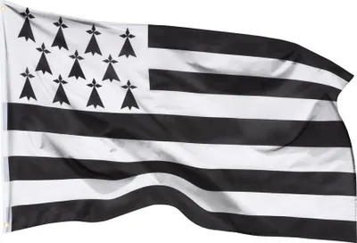 Image de PHENO FLAGS Bretagne Drapeau 90 x 150 cm Drapeau France Bretagne 2 œillets