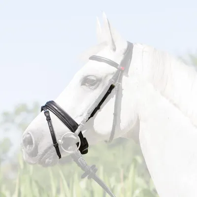 Produktbild von Kieffer Englisch kombiniertes Reithalfter Kieffer Ultrasoft® Economy, Farbe:schw./schw. unterl.-, Größe:Warmblut extra / Nasenbd.45mm