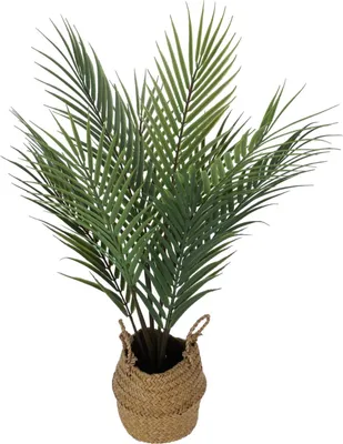 Zdjęcie produktu dla Sztuczna roślina palma w koszyku, 64 cm