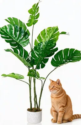Obrázok produktu pre Umelo vyrobená monstera – izbová rastlina v kvetináči – výška 120 cm – 12 listov – realistická dekoratívna palma vhodná do obývačky alebo kancelárie – nenáročná na údržbu – biely kvetináč – zelená