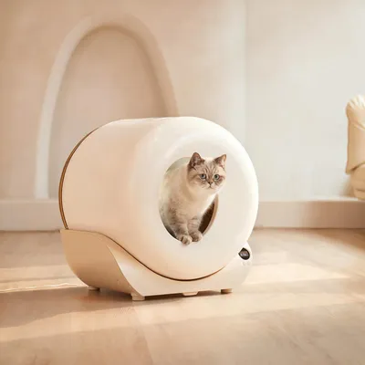 A cat sits inside a modern, self-cleaning litter box in a well-lit room with a light-colored wall and wooden floor.