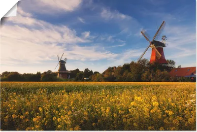 Produktbild von ARTland Poster Die Mühlen von Greetsiel Größe: 90x60 cm