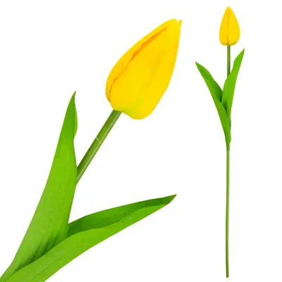 Obrázok produktu pre Cv31234-2 Jediný Žltý Tulipán Ako Živý Umelý Kvet Na Kyticu Trstiny