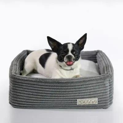 A small dog is lying in a gray dog bed.