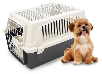 Image de Cage de transport pour chats et petits chiens, jusqu'à 8 kg, avec toit ouvert et coussin