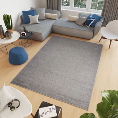 Obrázok produktu pre Koberec s krátkym vlasom Koberec do obývačky Spálňa Jednoduchý dizajn Moderná sivá Strieborná 140 x 200 cm