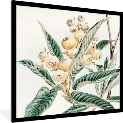 Produktbild von MuchoWow® Gerahmtes Poster Obst - Blätter - Vintage - Japanisch - Skandinavisch 40x40 cm - Poster mit Schwarzem Bilderrahmen Wandposter Rahmen Foto Bilder - Mit Rahmen - Wanddekoration Schlafzimmer