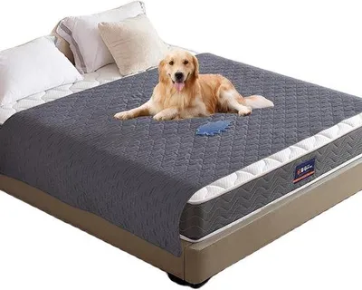 Image de Couverture imperméable pour chien 75 x 180 cm - Protection d'extérieur