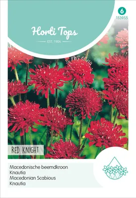 Produktbild von Knautia Red Knight | Blumensamen von Hortitops