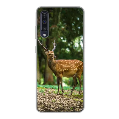 Produktbild von MuchoWow® Handyhülle Schutzhülle Hülle für Samsung Galaxy A30s Rotwild - Wald - Tier Silikon Softcase Handy Hülle - Karteninhaber