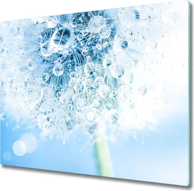Produktbild von Glas Herdabdeckplatte 60x52 cm Spritzschutz Glasabdeckplatte Schneidebrett Pusteblume