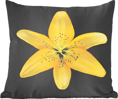 Produktbild von MuchoWow® Zierkissen Sofakissen Wohnzimmer Dekokissen 40x40 cm Eine gelbe Lilienblüte auf schwarzem Hintergrund - Foto Kissen - Schlafzimmer Dekoration