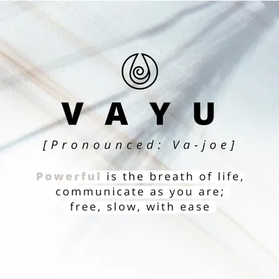 Imagen del producto de Funda cuero vegano Vayu para Apple iPhone 12 (Pro) - Marrón