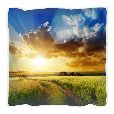 Produktbild von Wallario Premium Kissen, weiche Oberfläche, mit Motiv Feldweg in den Sonnenuntergang, Größe: 60 x 60 cm, mit weißer Rückseite