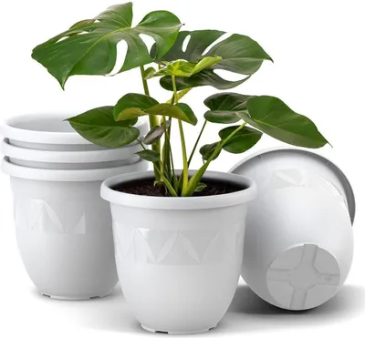 A set of white plant pots with a Monstera plant in one of them, shown against a white background.