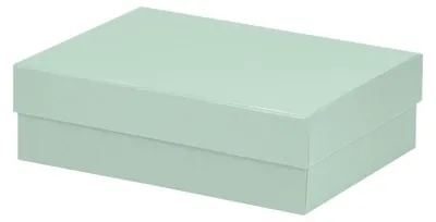 Zdjęcie produktu dla Opakowanie prezentowe Boxline 196x264x80mm Mint