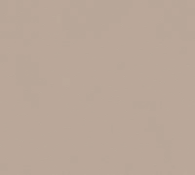 Obrázek produktu pro A.S. Création Vliestapete MeisterVlies 5 die glatte Wand beige 10,05 m x 0,53 m 309167