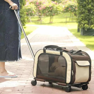 Produktbild von Nobby Trolley Move braun