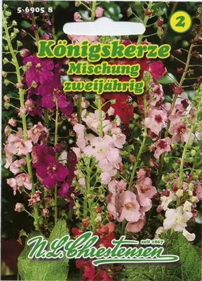 Produktbild von [STREICHUNG 2025] Königskerze Mischung | Blumensamen von N.L. Chrestensen
