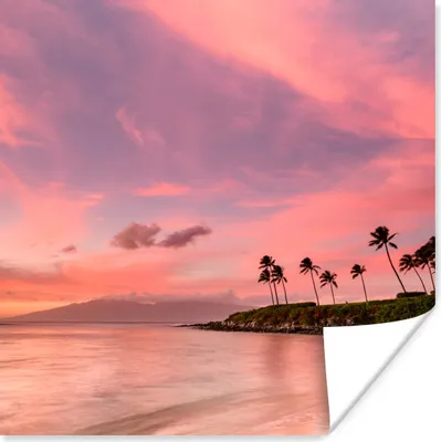 Produktbild von MuchoWow® Poster Strand - Palme - Rosa 50x50 cm - Wohnzimmerdekoration
