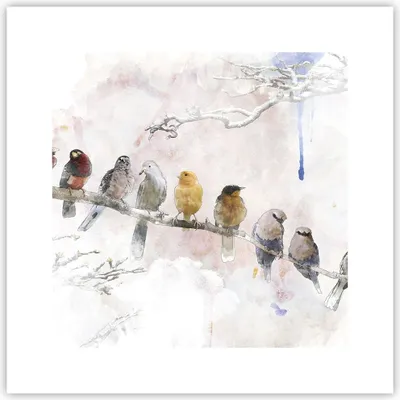 Produktbild von Poster - Poster ohne Rahmen - Vögel Kanarienvogel Zweig - 30x30 cm - Wand Bild - Wanddeko - Wandbilder - Kunstposter - Wandposter - Bilder - Kunstdruck - Wanddekoration - Wandbild - P2XAC30x30-4175