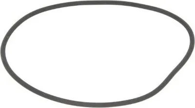 Produktbild von LEMA Dichtring Zylinderlaufbuchse 124765 3mm 5g