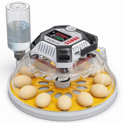 Brutmaschine, 12 Eier, volautomatisch, mit Eierwender & Feuchtigkeitsregelung