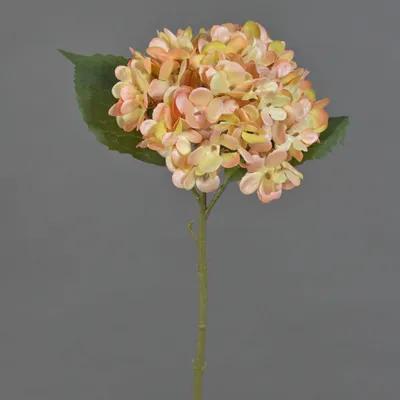 Produktbild von artplants.de Kunstblume Hortensie QILIN, gelb-rosa, 35 cm - Künstliche Stielblume