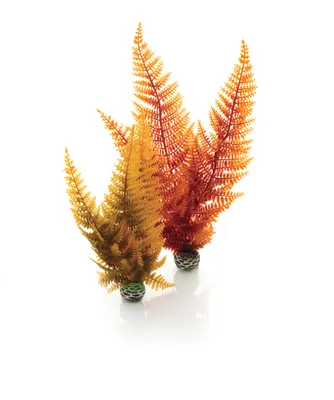 Produktbild von biOrb Herbstfarn Set 2 (46065)