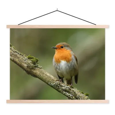 Produktbild von MuchoWow® Textilposter Vogel - Rotkehlchen - Zweig - Pflanzen 120x90 cm mit holzfarbenen Rahmen - Magnetisch